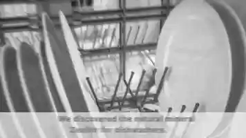 Free download Bosch Zeolith Technology for Dishwashers. video and edit with RedcoolMedia movie maker MovieStudio video editor online and AudioStudio audio editor onlin