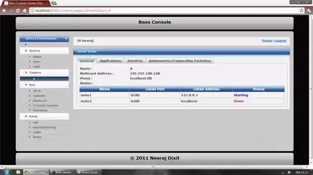 Download web tool or web app BossConsole
