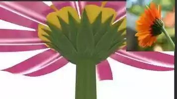 Free download Botanist Demo video and edit with RedcoolMedia movie maker MovieStudio video editor online and AudioStudio audio editor onlin