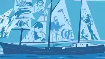 Free download BOW 2min presentation video and edit with RedcoolMedia movie maker MovieStudio video editor online and AudioStudio audio editor onlin