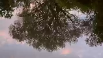 Free download Bow video and edit with RedcoolMedia movie maker MovieStudio video editor online and AudioStudio audio editor onlin