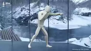 Free download Boxing animation + reference video and edit with RedcoolMedia movie maker MovieStudio video editor online and AudioStudio audio editor onlin