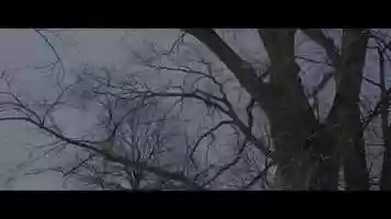 Free download Brain and Body in Dance video and edit with RedcoolMedia movie maker MovieStudio video editor online and AudioStudio audio editor onlin