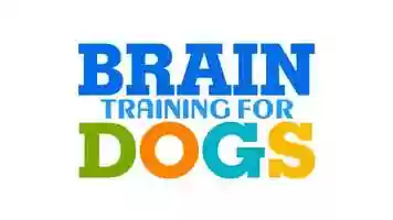 Free download Brain Training for Dogs - Game Exam Demonstration video and edit with RedcoolMedia movie maker MovieStudio video editor online and AudioStudio audio editor onlin