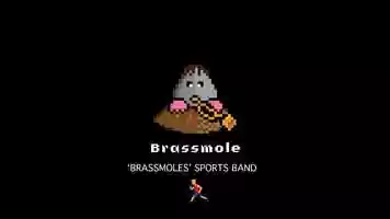 Free download Brassmoles Sports Band video and edit with RedcoolMedia movie maker MovieStudio video editor online and AudioStudio audio editor onlin