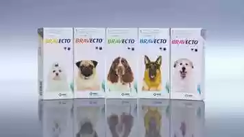 Free download Bravecto MSD Animal Health video and edit with RedcoolMedia movie maker MovieStudio video editor online and AudioStudio audio editor onlin
