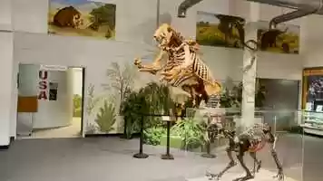 Free download Brevard Museum Social Promo.mp4 video and edit with RedcoolMedia movie maker MovieStudio video editor online and AudioStudio audio editor onlin