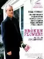 Free download Broken flowers video and edit with RedcoolMedia movie maker MovieStudio video editor online and AudioStudio audio editor onlin