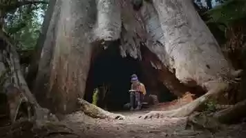 Free download BTN_Trailer_for_TP_Home_Page video and edit with RedcoolMedia movie maker MovieStudio video editor online and AudioStudio audio editor onlin