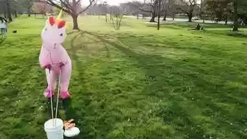 Free download Bubbles the Unicorn video and edit with RedcoolMedia movie maker MovieStudio video editor online and AudioStudio audio editor onlin