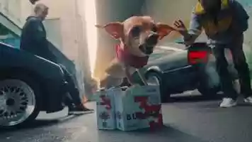 Free download Budvar B33 spot video and edit with RedcoolMedia movie maker MovieStudio video editor online and AudioStudio audio editor onlin