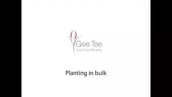 Free download Bulk planting Tulips and Daffodils video and edit with RedcoolMedia movie maker MovieStudio video editor online and AudioStudio audio editor onlin