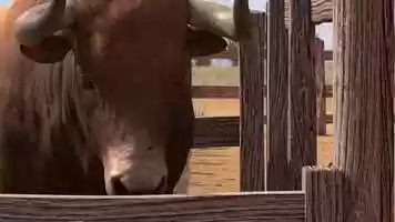 Free download BULL_RODEO_ACTION_CAW video and edit with RedcoolMedia movie maker MovieStudio video editor online and AudioStudio audio editor onlin