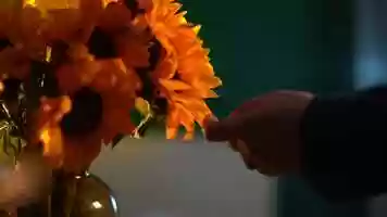 Free download Burn out video and edit with RedcoolMedia movie maker MovieStudio video editor online and AudioStudio audio editor onlin