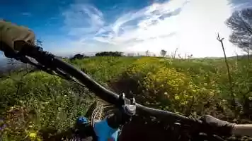 Free download Burro Trail - Vamos A Praia video and edit with RedcoolMedia movie maker MovieStudio video editor online and AudioStudio audio editor onlin