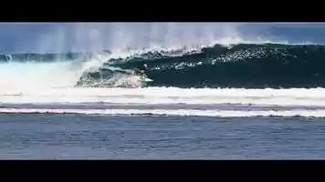 Free download BUZZY INDO video and edit with RedcoolMedia movie maker MovieStudio video editor online and AudioStudio audio editor onlin