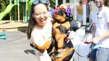 Free download C3 Web Trailer Update video and edit with RedcoolMedia movie maker MovieStudio video editor online and AudioStudio audio editor onlin