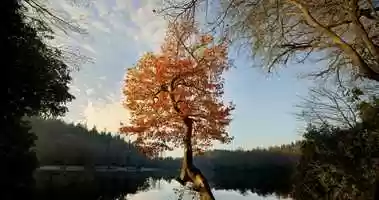 Free download C500mkii Demo - Shearwater Lake 6K video and edit with RedcoolMedia movie maker MovieStudio video editor online and AudioStudio audio editor onlin