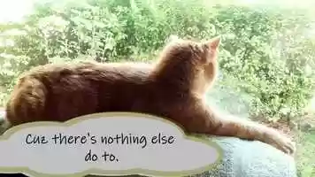 Free download Cabin Fever | A Lotus The Cat Film video and edit with RedcoolMedia movie maker MovieStudio video editor online and AudioStudio audio editor onlin