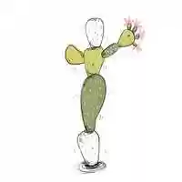 Free download CACTUS WOMAN - gif animation video and edit with RedcoolMedia movie maker MovieStudio video editor online and AudioStudio audio editor onlin