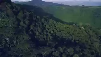 Free download CafCaf Crowdfunding 2020 video and edit with RedcoolMedia movie maker MovieStudio video editor online and AudioStudio audio editor onlin