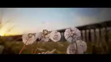 Free download Calibre Architecture Animation video and edit with RedcoolMedia movie maker MovieStudio video editor online and AudioStudio audio editor onlin