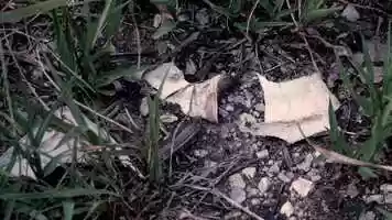 Free download Calypsos Island rough cut and trailer video and edit with RedcoolMedia movie maker MovieStudio video editor online and AudioStudio audio editor onlin