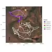 Free download Camel Movement Tracks video and edit with RedcoolMedia movie maker MovieStudio video editor online and AudioStudio audio editor onlin