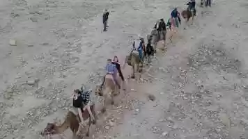 Free download Camel rides in the Judean Desert of Israel video and edit with RedcoolMedia movie maker MovieStudio video editor online and AudioStudio audio editor onlin