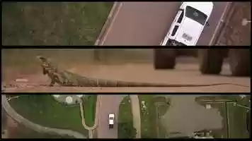 Free download Campaa Ecopetrol-Rubiales-Social- Documental - Colibr Film video and edit with RedcoolMedia movie maker MovieStudio video editor online and AudioStudio audio editor onlin