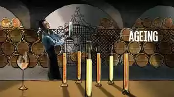 Free download CAMUS-Cognac video and edit with RedcoolMedia movie maker MovieStudio video editor online and AudioStudio audio editor onlin