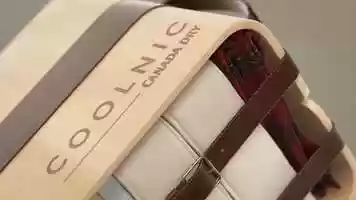 Free download Canada Dry - Coolnic (Clean) video and edit with RedcoolMedia movie maker MovieStudio video editor online and AudioStudio audio editor onlin