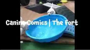 Free download Canine Comic- The Fort video and edit with RedcoolMedia movie maker MovieStudio video editor online and AudioStudio audio editor onlin