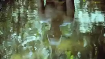 Free download Cantareira (2020) - Trailer video and edit with RedcoolMedia movie maker MovieStudio video editor online and AudioStudio audio editor onlin