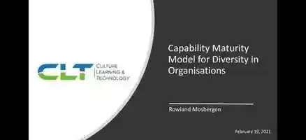 Free download Capability Maturity Model for Diversity in Organisations video and edit with RedcoolMedia movie maker MovieStudio video editor online and AudioStudio audio editor onlin