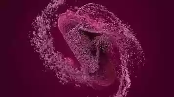 Free download Capsule Particle Morph video and edit with RedcoolMedia movie maker MovieStudio video editor online and AudioStudio audio editor onlin