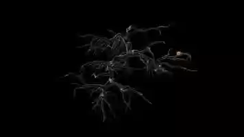 Free download Capture the Future(s). Exhibitions trailer video and edit with RedcoolMedia movie maker MovieStudio video editor online and AudioStudio audio editor onlin