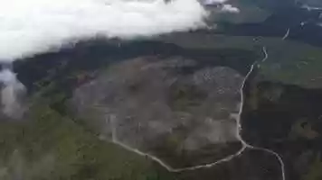 Free download Caribou being logged to extinction video and edit with RedcoolMedia movie maker MovieStudio video editor online and AudioStudio audio editor onlin