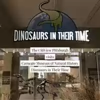 Free download Carnegie Museum of Natural Science - Dinosaurs In Their Time video and edit with RedcoolMedia MovieStudio video editor online and AudioStudio audio editor onlin