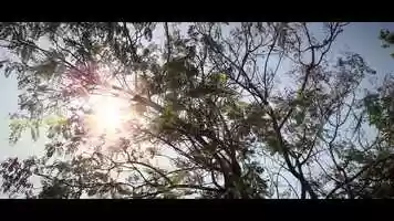 Free download Caroline  Trevor - Wedding Highlight.mp4 video and edit with RedcoolMedia movie maker MovieStudio video editor online and AudioStudio audio editor onlin