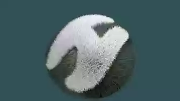 Free download carpet video and edit with RedcoolMedia movie maker MovieStudio video editor online and AudioStudio audio editor onlin