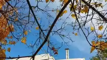 Free download Carta 1 de lInstitut Castellet a lInstitut Moiss Broggi video and edit with RedcoolMedia movie maker MovieStudio video editor online and AudioStudio audio editor onlin