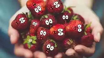 Free download Cartoon Face | After Effects Project Files - Videohive template video and edit with RedcoolMedia movie maker MovieStudio video editor online and AudioStudio audio editor onlin