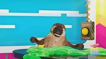 Free download Cartoon Network Super Slime Ben  Lunchables video and edit with RedcoolMedia movie maker MovieStudio video editor online and AudioStudio audio editor onlin