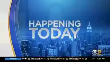 Free download Catholic Education - Archdiocese of NY video and edit with RedcoolMedia movie maker MovieStudio video editor online and AudioStudio audio editor onlin