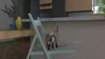 Free download Cat video and edit with RedcoolMedia movie maker MovieStudio video editor online and AudioStudio audio editor onlin