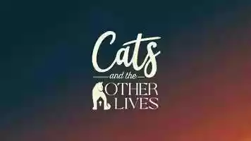 Free download Cats and the Other Lives | Logo Reveal video and edit with RedcoolMedia movie maker MovieStudio video editor online and AudioStudio audio editor onlin