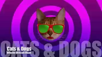 Free download Cats  Dogs video and edit with RedcoolMedia movie maker MovieStudio video editor online and AudioStudio audio editor onlin