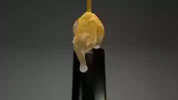 Free download Cat Study video and edit with RedcoolMedia movie maker MovieStudio video editor online and AudioStudio audio editor onlin