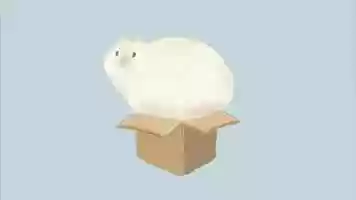 Free download CAT (Whats Cat Usually Do) video and edit with RedcoolMedia movie maker MovieStudio video editor online and AudioStudio audio editor onlin